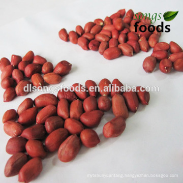 New Crop Jilin Coated Peanut